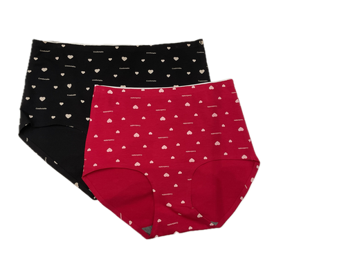 925 Briefs 2Pack HRTBF2