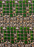 African Ankara Wrapper Wax Print- Forest Green Lime Burnt Orange Black White