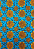 style pattern with large mustard-yellow circular medallions and smaller matching motifs on a bright turquoise blue background, overlaid with dark navy swirling vine details