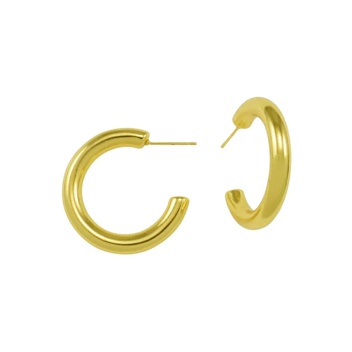 Darien Small Shine Hoop