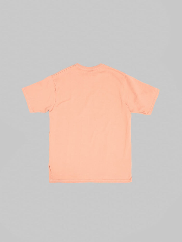 Deluxeware SDTS00 10.5oz T-Shirt Smn Pink back