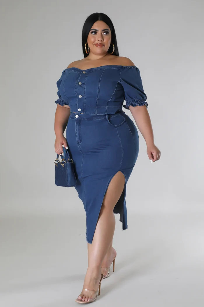 Denim Stretch Skirt Set (Curve)  image 3
