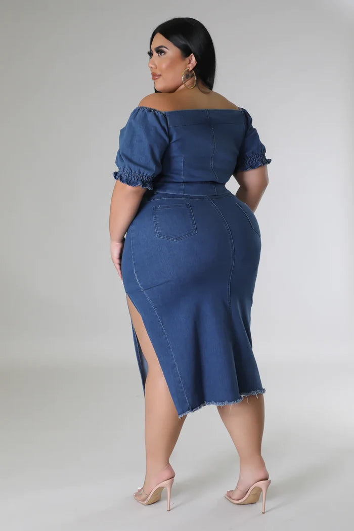 Denim Stretch Skirt Set (Curve)  image 4