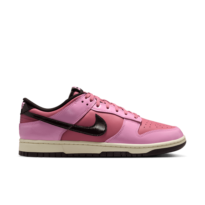 Nike Dunk Low Retro Donut