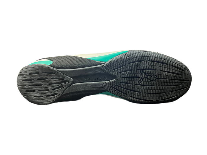 Puma Édition Spéciale Mercedes AMG Petronas Formula One
