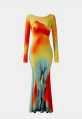 JW Pei Lily Illusion Print Mesh Dress Multicolor