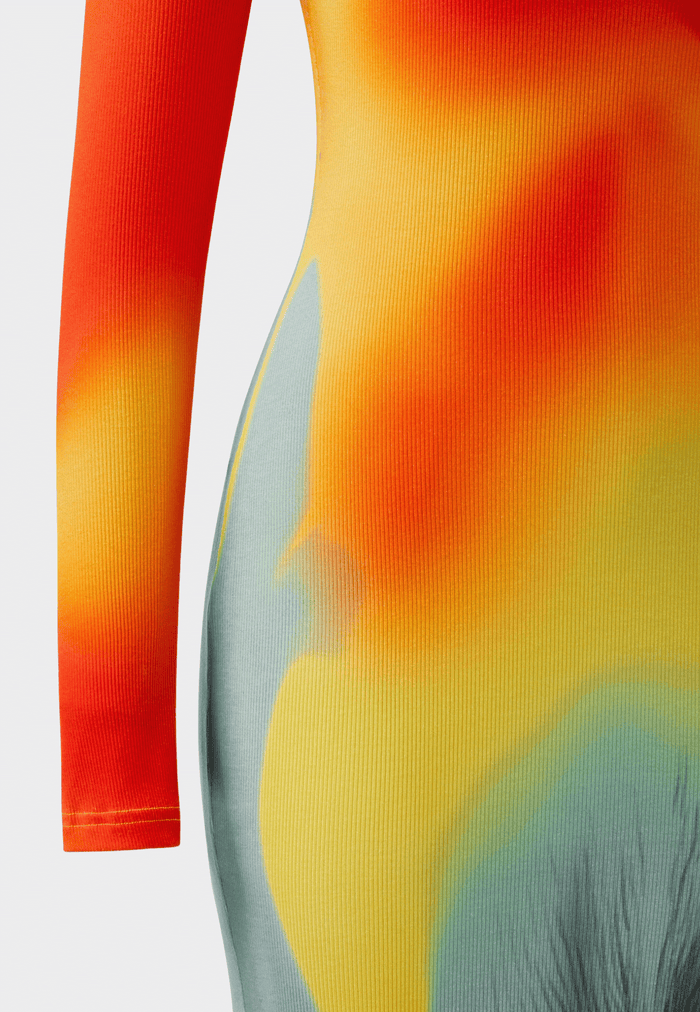 JW Pei Lily Illusion Print Mesh Dress Multicolor