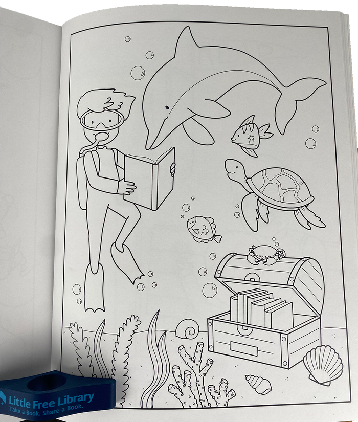 Little Free Library Coloring Book