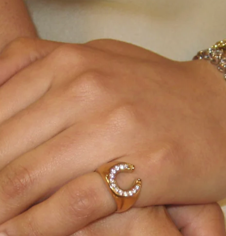 Lucky Horse Shoe- Steel and CZ 14K gold: 8
