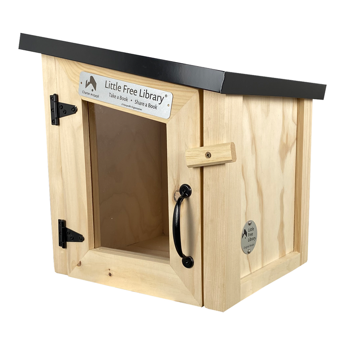 Mini Modern Little Free Library