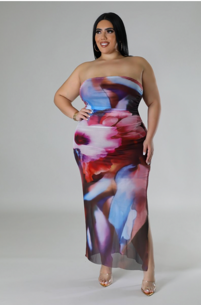Mirage Mesh Plus Dress image 2