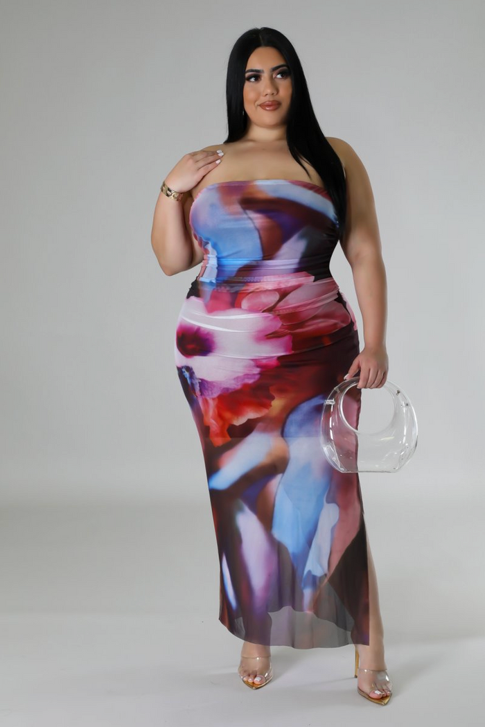 Mirage Mesh Plus Dress image 6