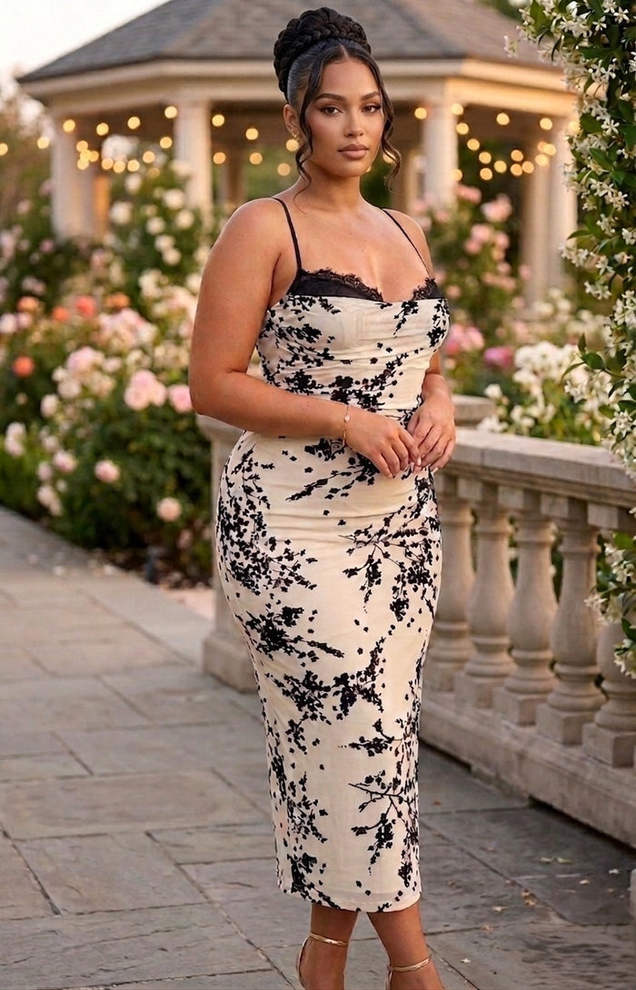 Noir Mesh & Lace Velvet Midi Dress