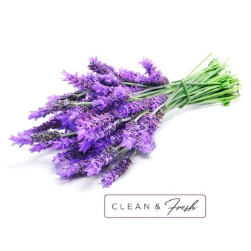 Shower Burst Refresh Duo
