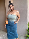 Tube Denim Ombre Dress image 0