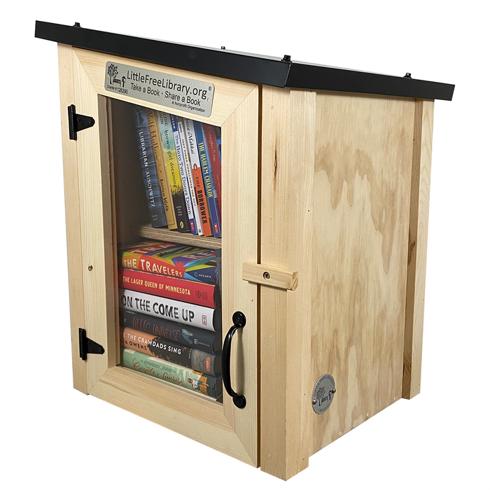 Two Story Modern Unfinished Little Free Library